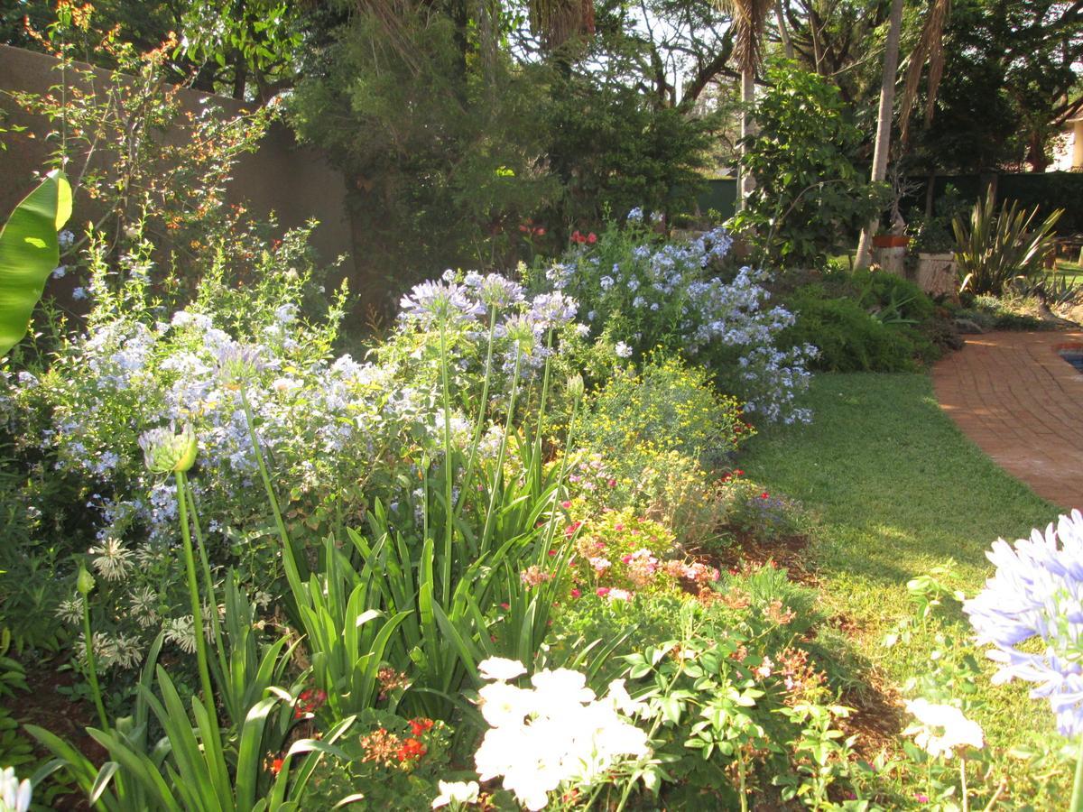 Bed and Breakfast 12 Fleetwood Harare Exterior foto